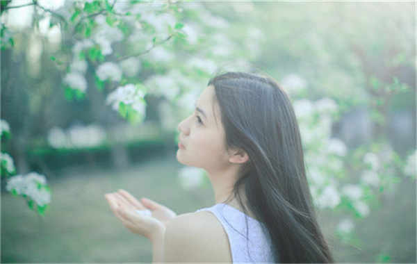 叠彩验血查男女几周可以验(验血查男女结果图)